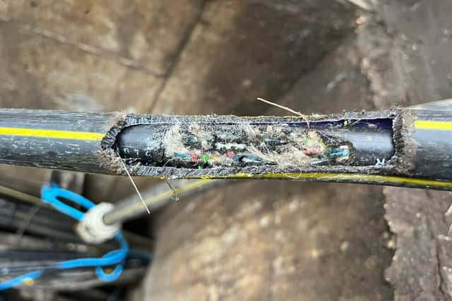 Cable damaged caused by a rodent in Tring