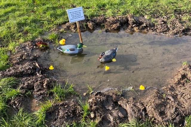 The leak had created a pond which became home to a family of plastic ducks!