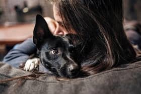 People like Sarah, and her dog, Buster, need your support this Christmas