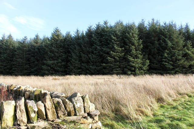 The surrounding countryside is a mix of fields, gorse and heather-strewn slopes, and woodland.