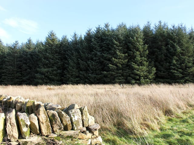 The surrounding countryside is a mix of fields, gorse and heather-strewn slopes, and woodland.