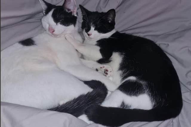 Inseparable.