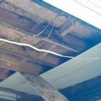Rogue trader who conned Hemel Hempstead pensioner out of £10,000 and left roof in ‘dangerous condition’ given suspended jail sentence