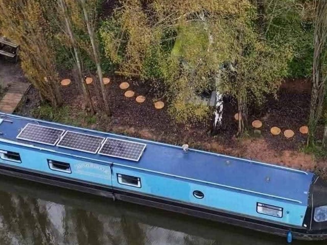 Kingfisher from above.