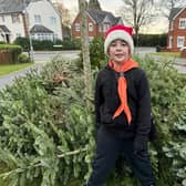 Scout Xmas Tree collector