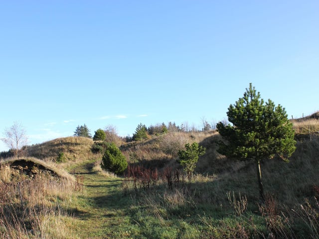 The cabin is accessed by a pretty path separating you from the hustle and bustle of the outside world.