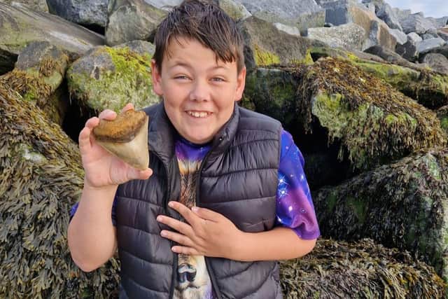 Ben Evans, 13, found the tooth while out with his dad fossil-searching