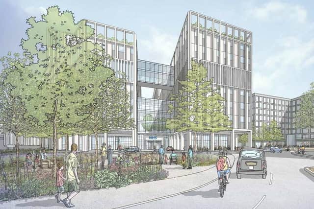 All captioned: How a new Watford General Hospital could look, according to approved draft plans. Credit: BDP/West Hertfordshire Teaching Hospitals NHS Trust/Watford Borough Council