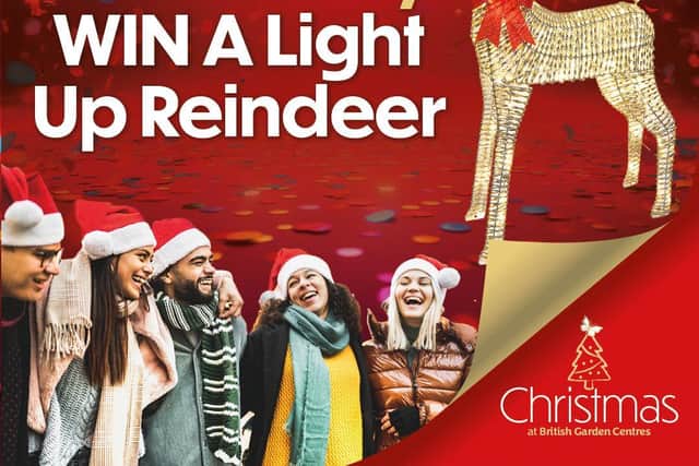 Hemel Hempstead Garden Centre lights up Christmas with community giveaway