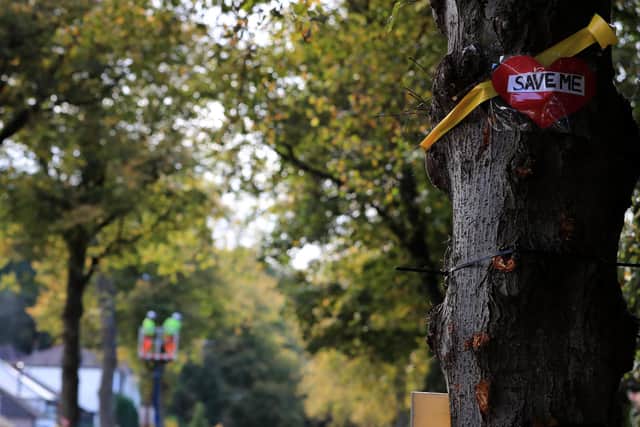 Dacorum is Friends of the Earth