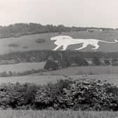 This is one of the earliest pictures of Whipsnade Zoo's famous chalk white lion, excavated in 1933
