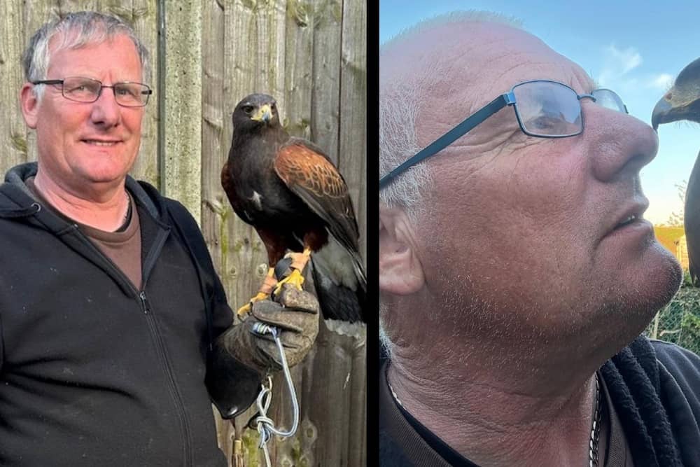 Wayne Housden with the famous hawk. Photo from Wayne Housden