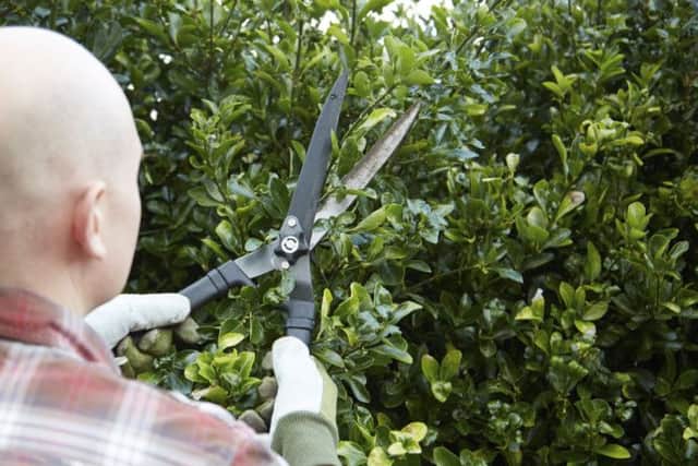 Gardening SUS-140311-163315003