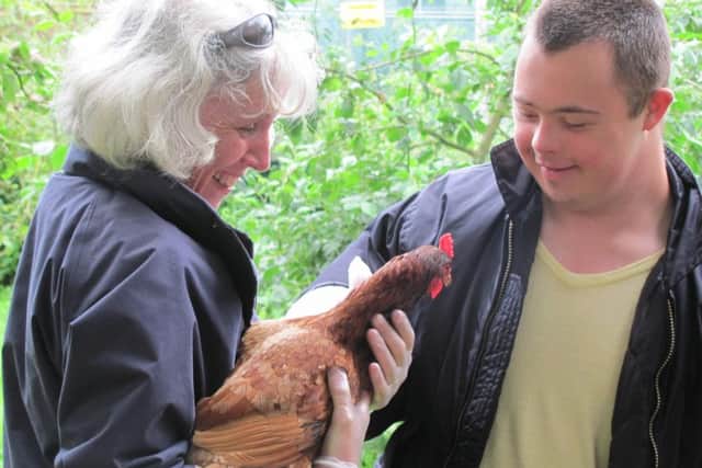 Ex-battery chicken at Hemel Food Garden