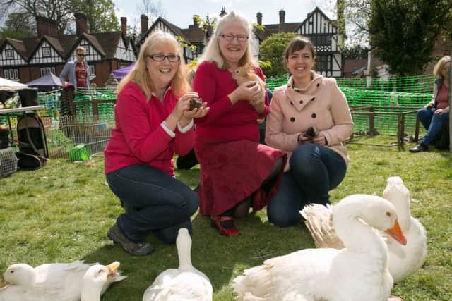The petting zoo at last year's Spring Fayre