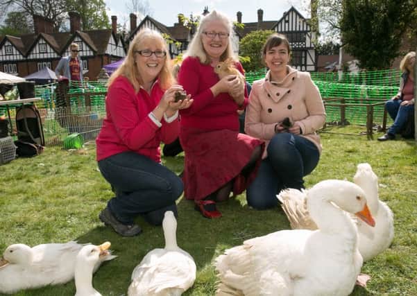 The petting zoo at last year's Spring Fayre