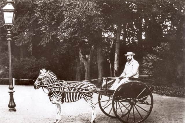 Lord Walter Rothschild with his zebras outside Tring Park Mansion