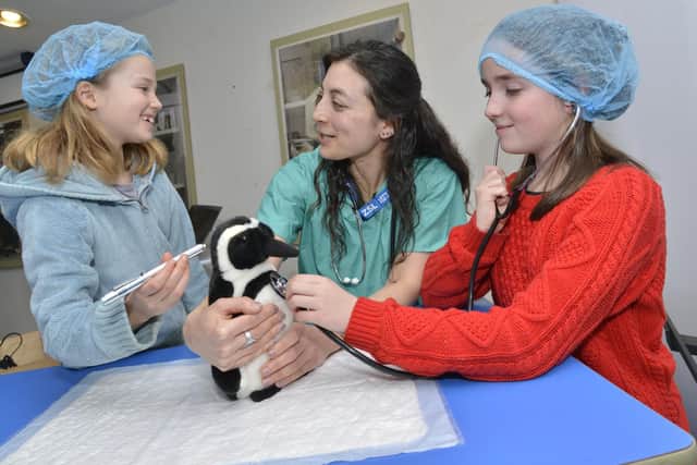 Vets in action at Whipsnade Zoo
