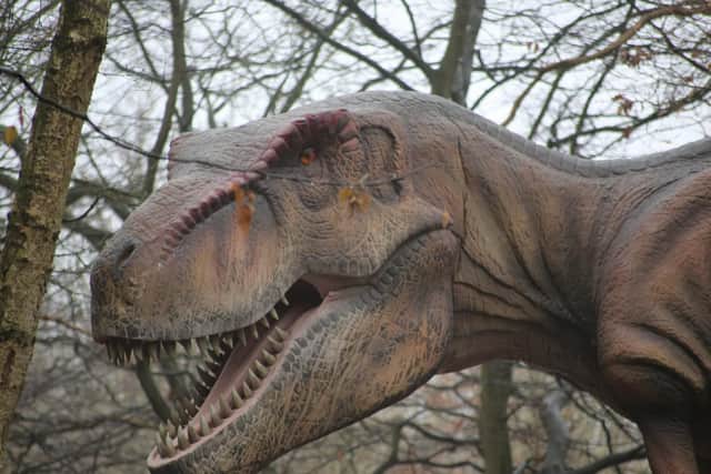 World of Dinosaurs