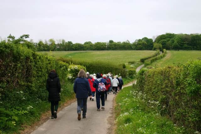 Gadebridge Health Walk