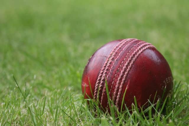 Cricket