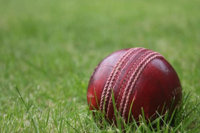 Cricket
