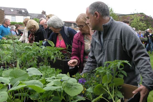 Markyate Plant Sale