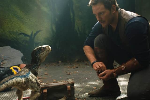 Chris Pratt as Owen Grady