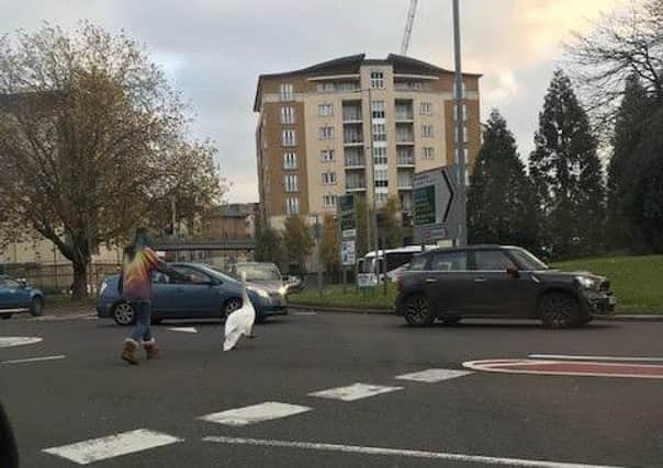 Young lady stopping traffic to guide the swan to safety