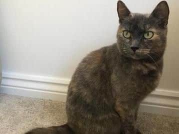 Young mum, Cleo
