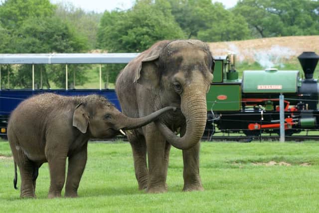 Whipsnade Zoo
