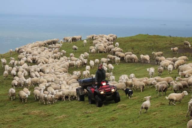 National Sheep Association