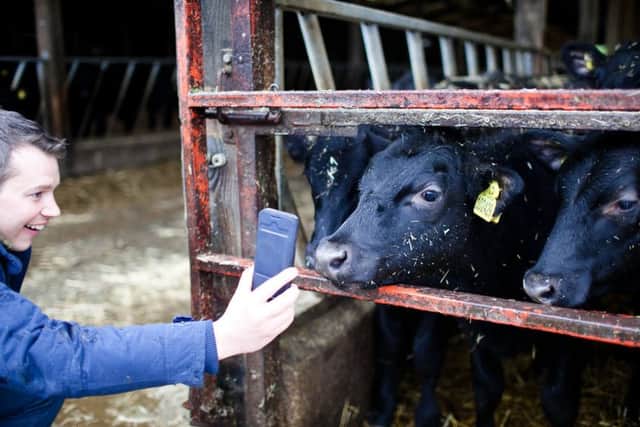 SellMyLivestock Tudder app for matching cattle, launched Valentine's Day 2019