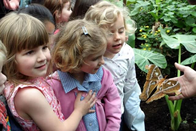 Children in Butterfly Paradise