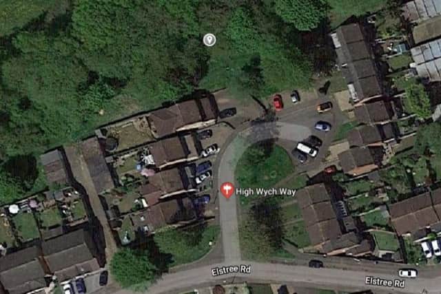Trees and bushes were set on fire in woods off High Wych Way, Hemel