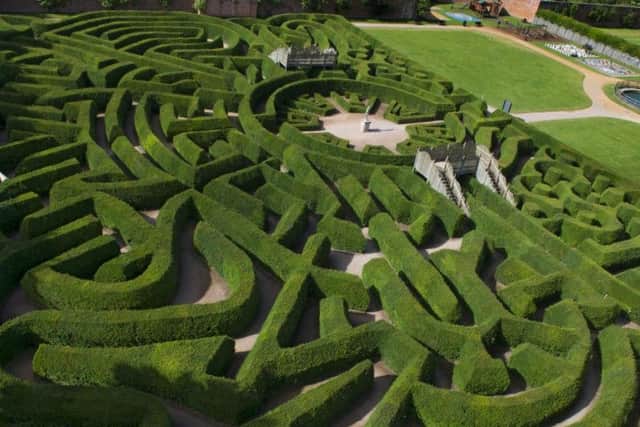 Blenheim Palace Hedge Maze