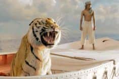 Life Of Pi
