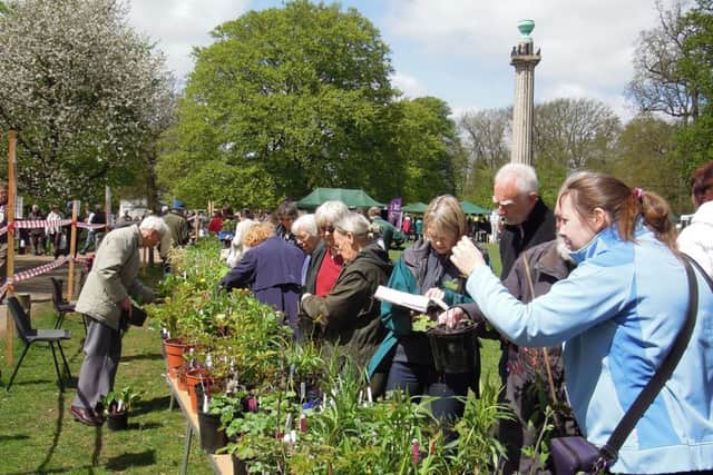 ashridge plant sale may 2013