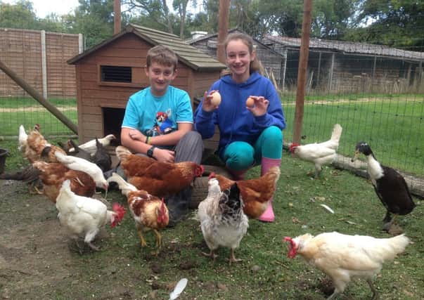 Daniel Evans and sister Heidi, right, with the oversized egg and Daisy, the hen who laid it, bottom right
