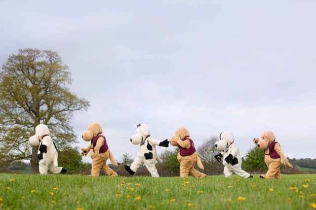 Mascots go walkies! Hearing Dogs for the Deaf.