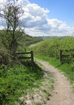 Dunstable Downs 5k and 10k trail runs PNL-140305-202351001