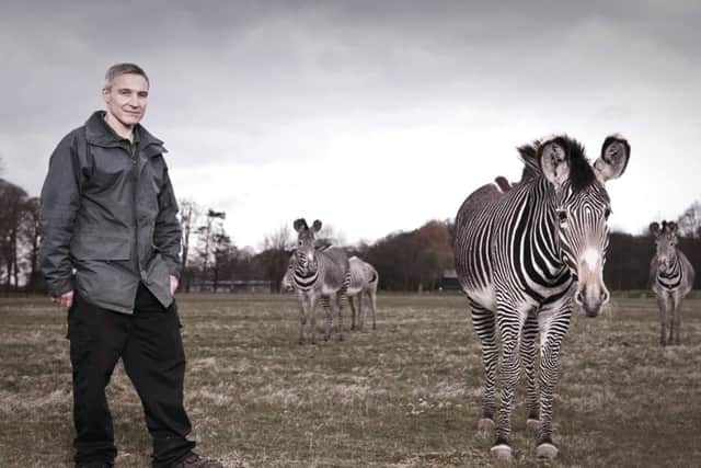 ZSL Whipsnade Zoo keeper Mark Holden in the zebra enclosure
