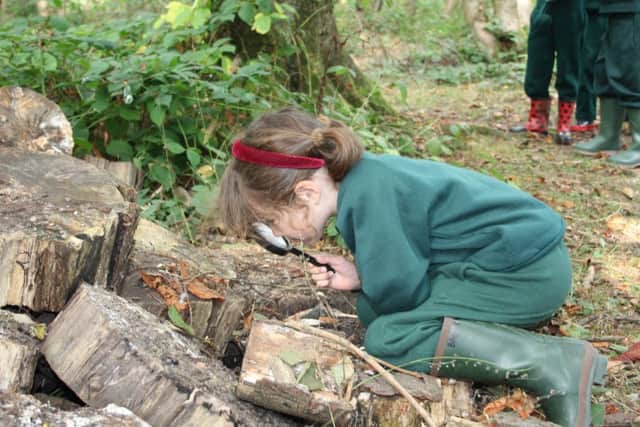 Beechwood Park School pupil enjoys forest fun