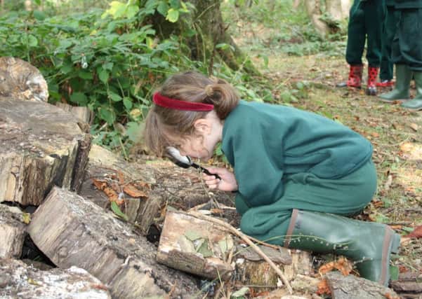 Beechwood Park School pupil enjoys forest fun