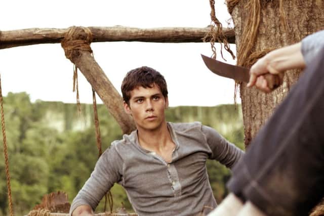 The Maze Runner