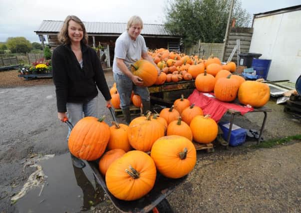 Jenny Hilsdon and husband Barny with their stock of pumpkins at Rumblers Farm Shop in Potten End