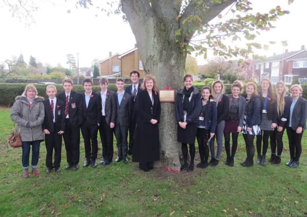 Poppies planted at Tring School to mark Armistice Day