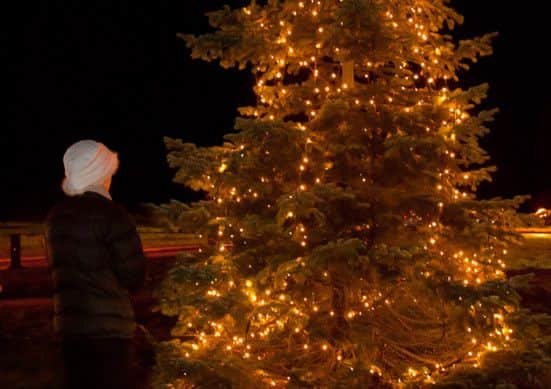 Hospice of St Francis Light up a Life. PNL-140112-105333001