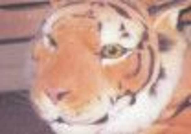 This stuffed toy tiger was stolen during a burglary in Redbourn