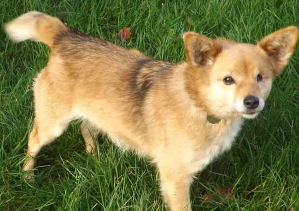 Sandra needs lots of love and TLC after having her damaged eye removed